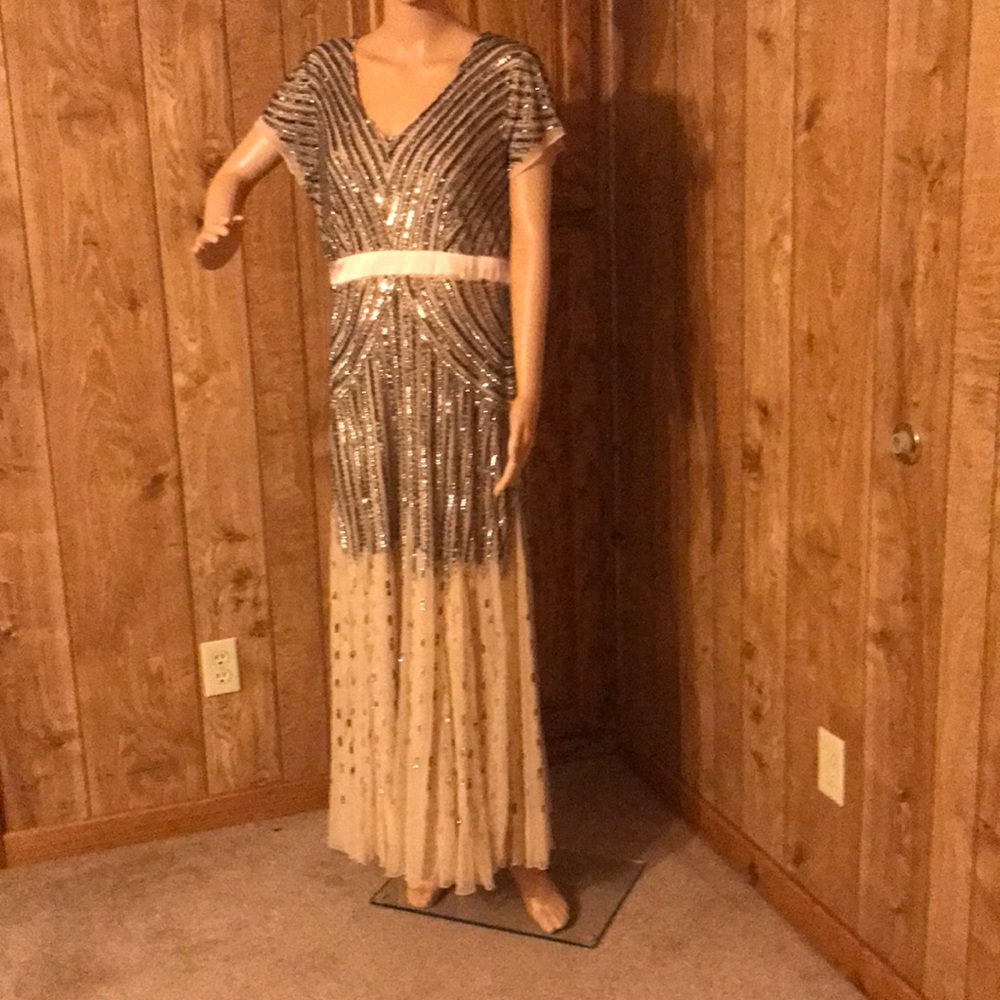 Ladies evening dress